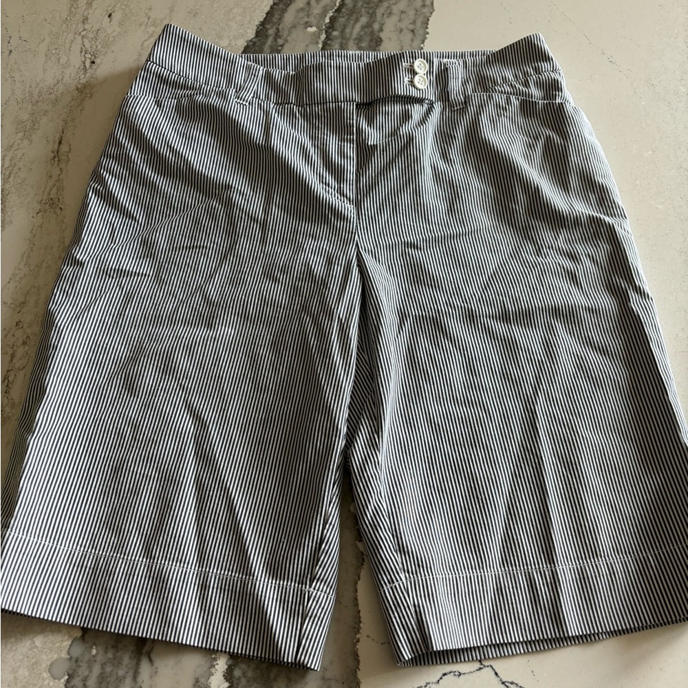 EUC Jones New York women’s Size 10 shorts (sorry for the wrinkles)